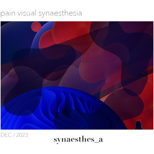 an abstract art piece that makes use of curvy forms in various shades of red and blue to visualize the synaesthesia of period pain